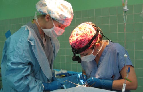 Sarah and Dr. Walden performing a cleft palate repair.